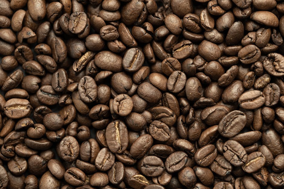 Rich brown roasted coffee beans perfect for background or texture use in food and beverage imagery.